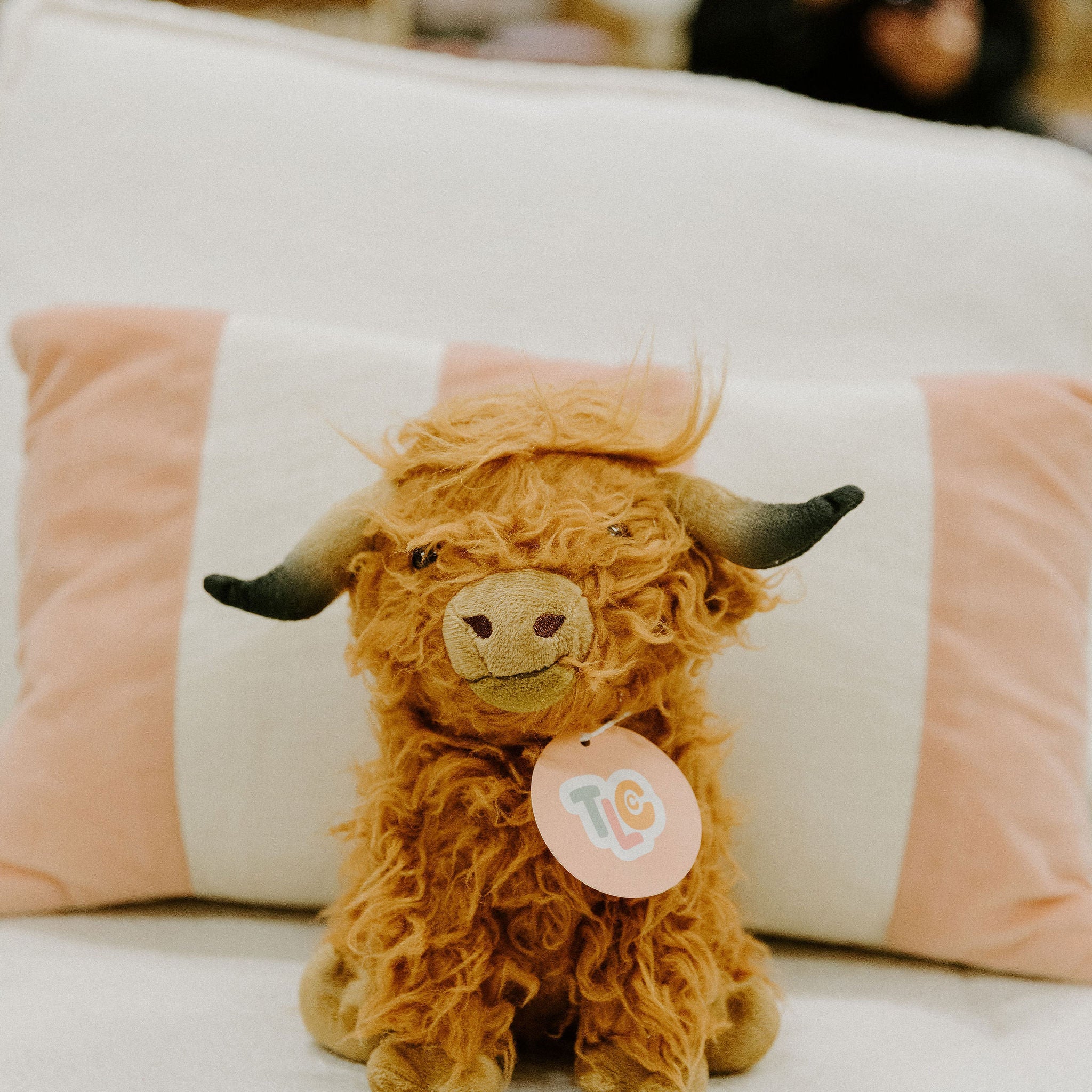 How to Donate Plush Toys in Canberra – and Give Them a Second Life 💛