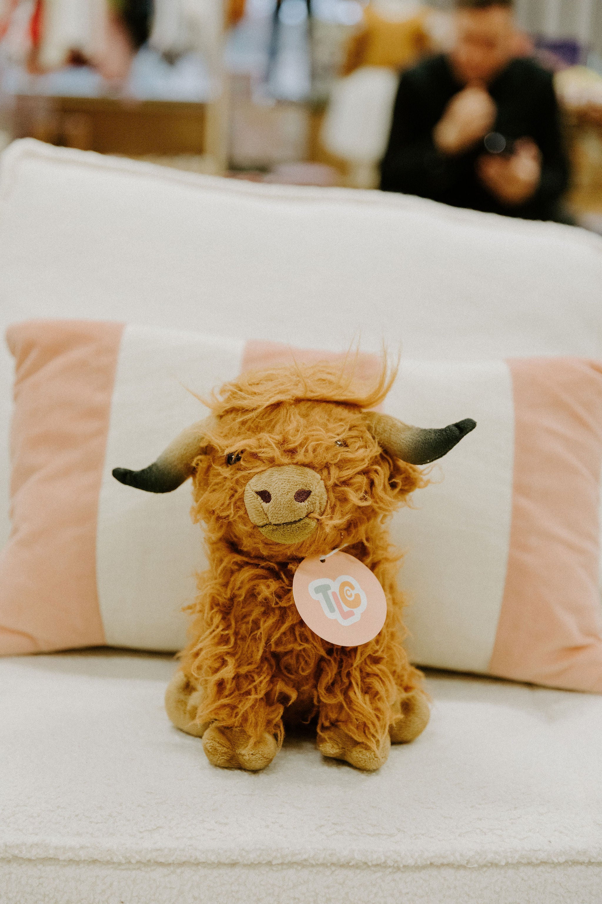 How to Donate Plush Toys in Canberra – and Give Them a Second Life 💛