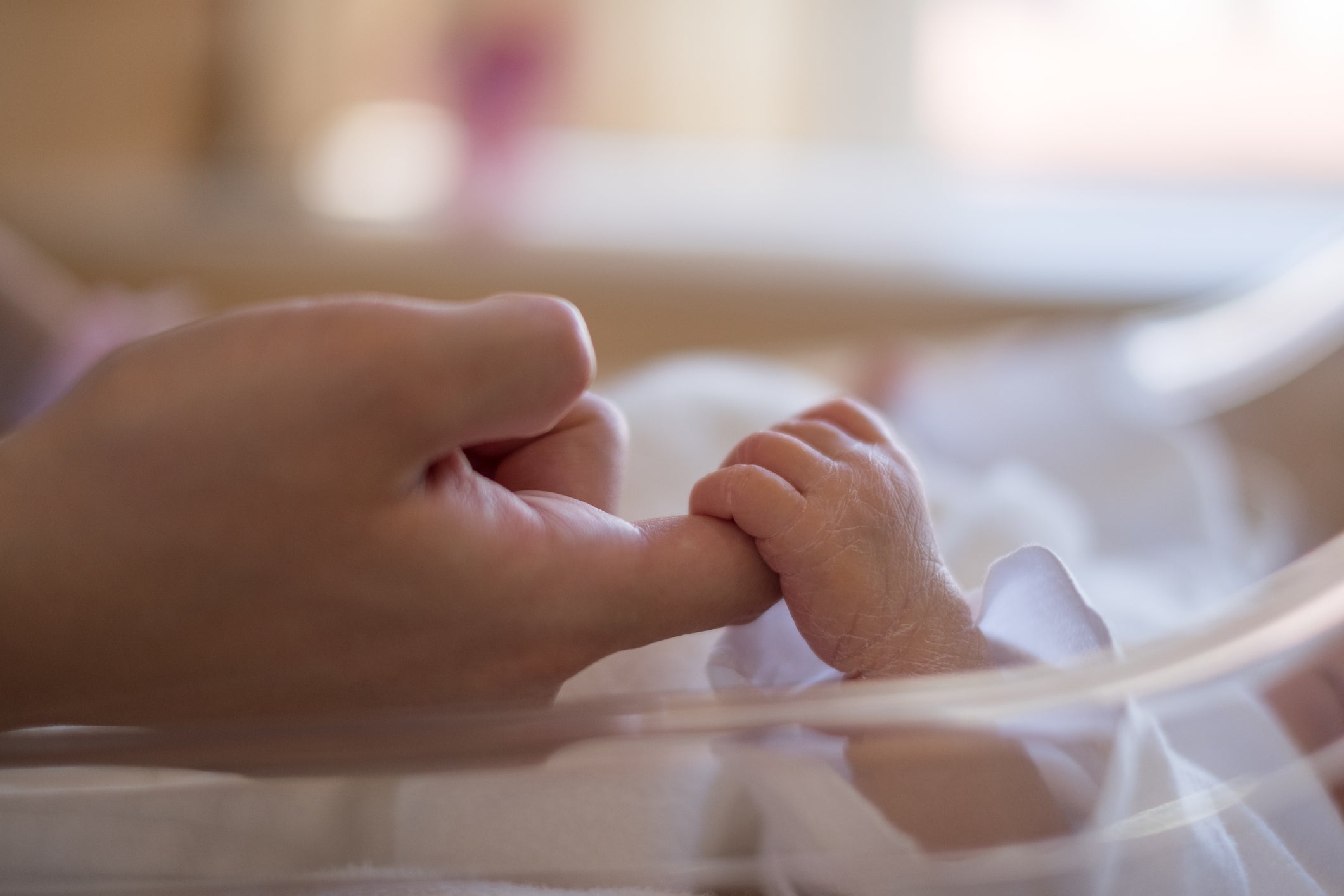 Why Borne/HMRI Research into Preterm Birth Matters to TLCco Store