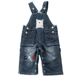 Pumpkin Patch Teddy Overalls