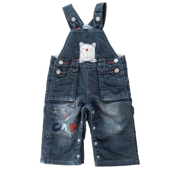 Pumpkin Patch Teddy Overalls