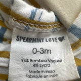 Spearmint Love Bodysuit with Skirt