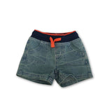 Pumpkin Patch Denim Shorts