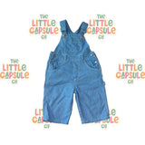 Vintage Pumpkin Patch Blue Overalls