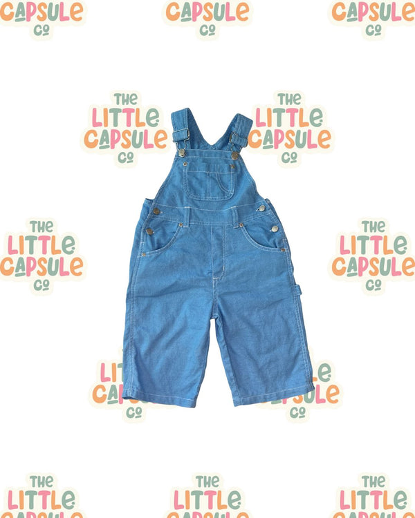 Vintage Pumpkin Patch Blue Overalls