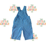 Vintage Pumpkin Patch Blue Overalls