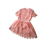 Marlo Blush Lace Party Dress