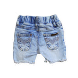 Beau Hudson Faded Shorts