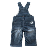 Pumpkin Patch Teddy Overalls