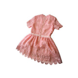 Marlo Blush Lace Party Dress
