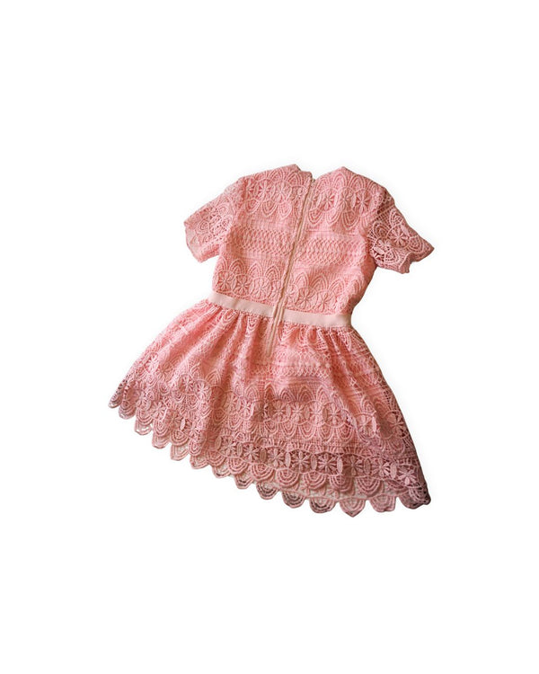Marlo Blush Lace Party Dress