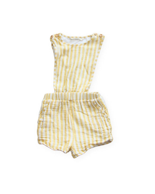 Dusty Daisy Striped Playsuit