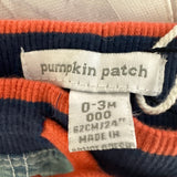 Pumpkin Patch Denim Shorts