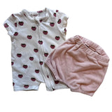 Seed Strawberry Set