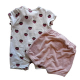Seed Strawberry Set